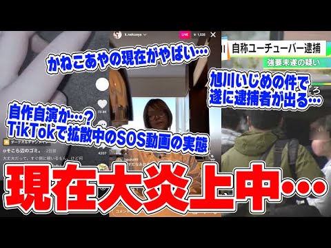 Vtuber雑魚まる 絵師もちみさんへ お金を払わず逃走 リスナーが絵師にスパチャを投げ始める きのこエクスプレス 最新のcmや動画をご紹介 Vtuber雑魚まる 絵師もちみさんへ お金を払わず逃走 リスナーが絵師にスパチャを投げ始める きのこエクスプレス 最新のcmや動画をご紹介